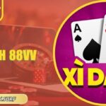 Xì Dách 88VV – Chinh Phục 21 Điểm Với Mẹo Thông Minh